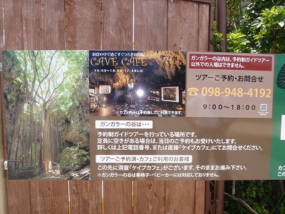 ガンガラーの谷②_c0180460_045137.jpg