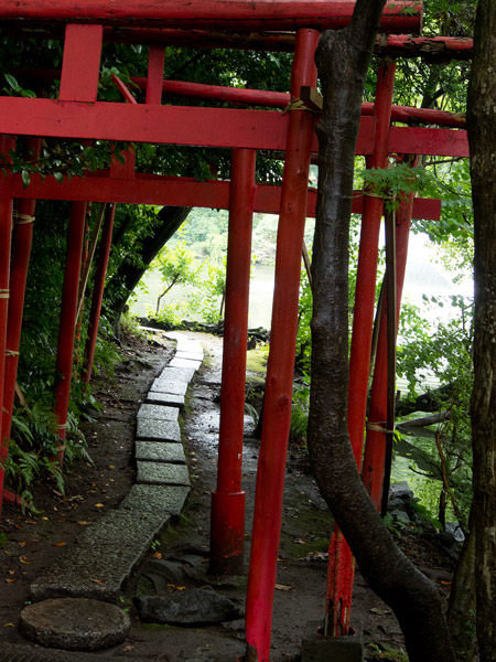 2012/07/09 久我山から吉祥寺@玉川上水ゾロ目散歩_b0171364_10371991.jpg