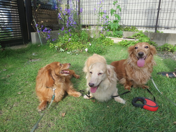 c0138069_1513176.jpg