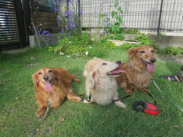 c0138069_151726.jpg