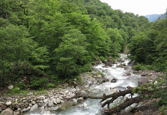 c0197578_2212244.jpg