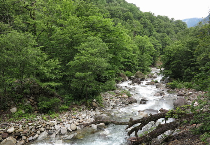 雨上がりの庄川へ。。。。_c0197578_2212244.jpg