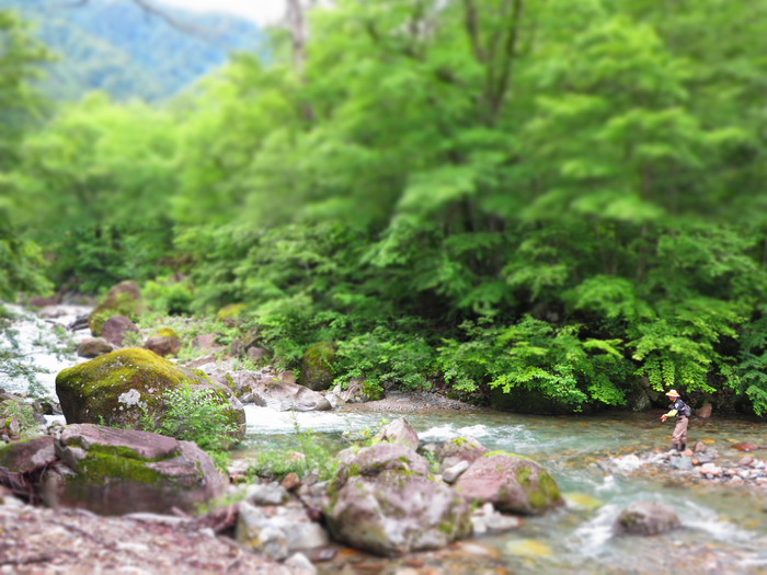 雨上がりの庄川へ。。。。_c0197578_22181127.jpg