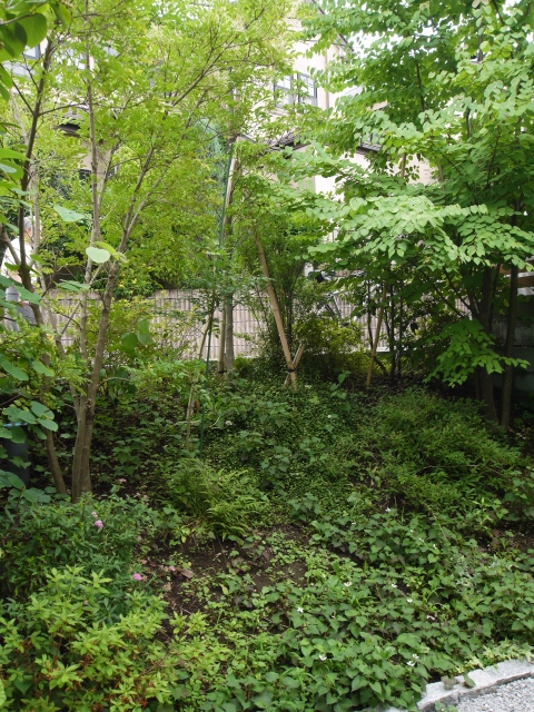 d0078178_11452885.jpg