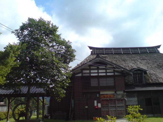 新柳自慢かき揚げ添え木草庵仕込みのざるそば。_d0182179_19455243.jpg