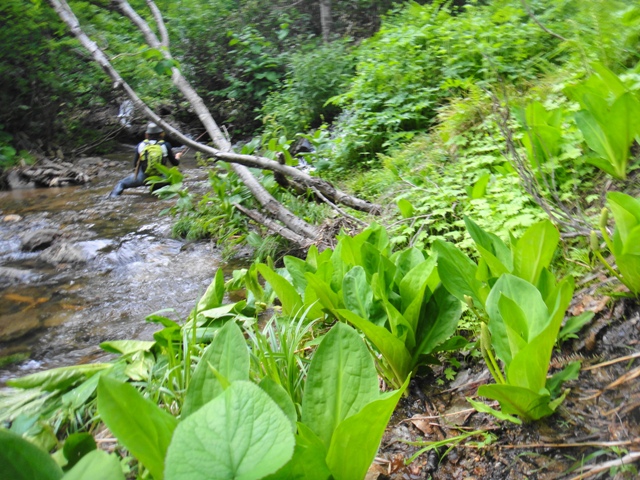c0157482_2211140.jpg