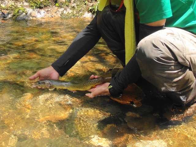 c0157482_2214228.jpg