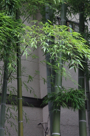b0207284_05294.jpg
