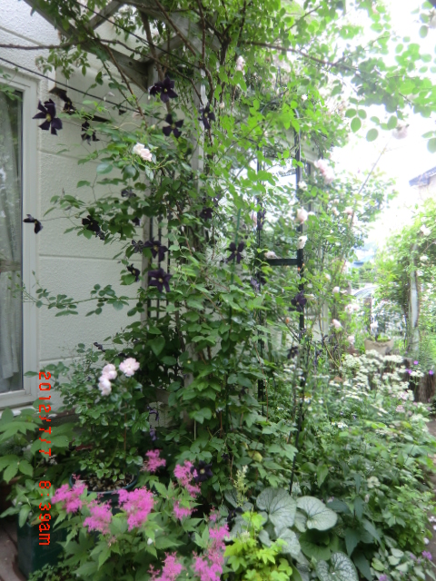 c0078586_201293.jpg
