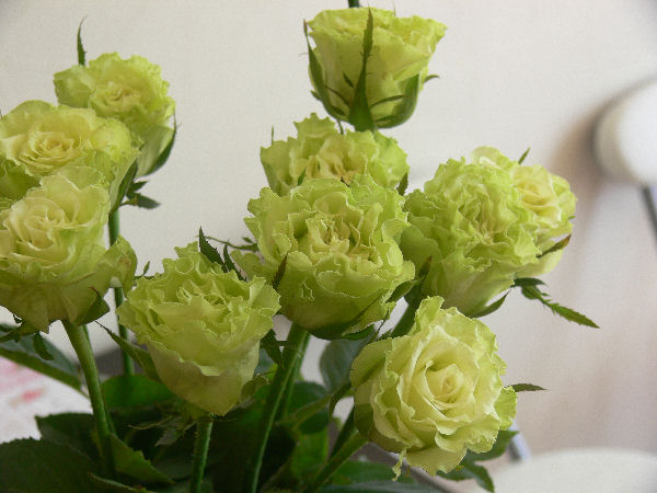 e0140986_1344819.jpg