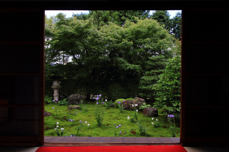 天得院(東福寺塔頭)_e0051888_2004461.jpg