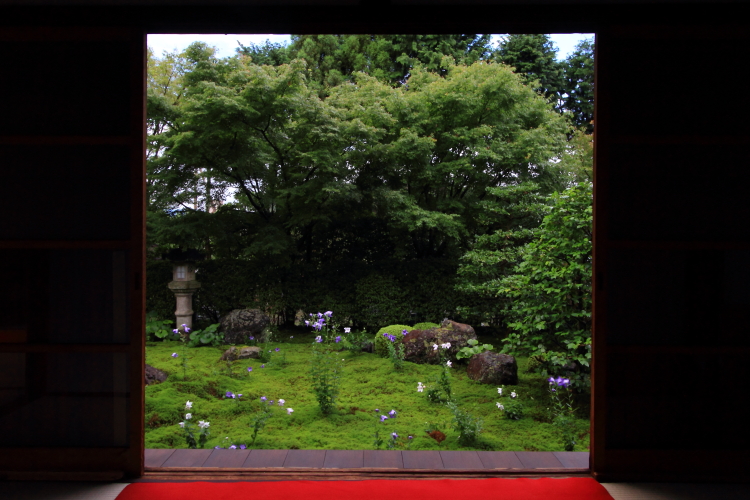 天得院（東福寺塔頭）_e0051888_2004461.jpg