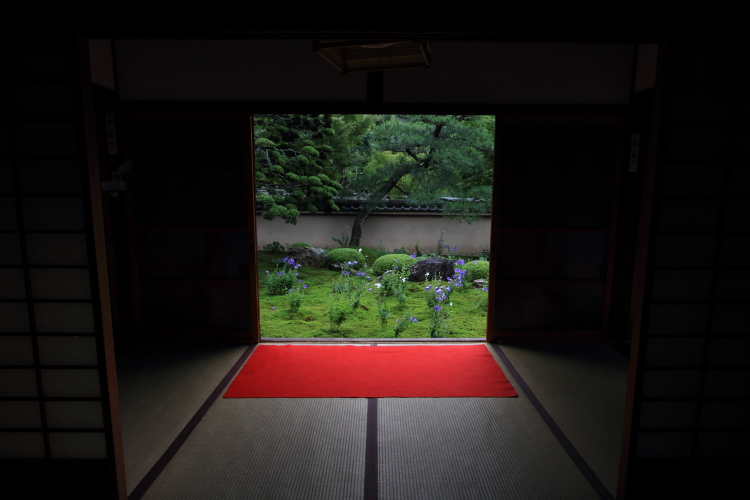 天得院(東福寺塔頭)_e0051888_201476.jpg