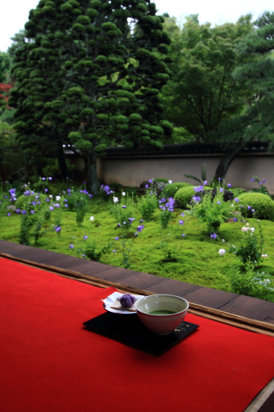 天得院（東福寺塔頭）_e0051888_2022829.jpg