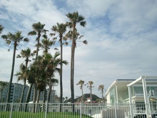 海遊びin鎌倉_c0204289_1710477.jpg
