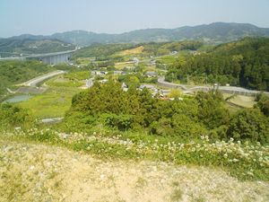 滝沢　大平　浜松SA・・・昼から谷島屋_c0087392_0252769.jpg