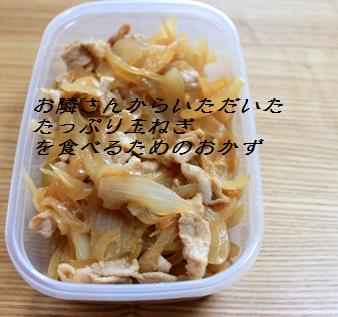 玉ねぎを食べるためのおかず、そして、米びつ導入_a0031996_2201425.jpg