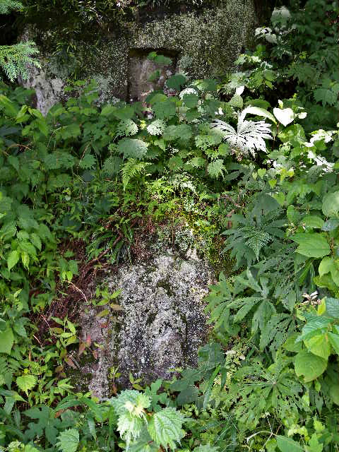 a0199297_05256.jpg