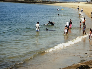 e0143298_19461272.jpg