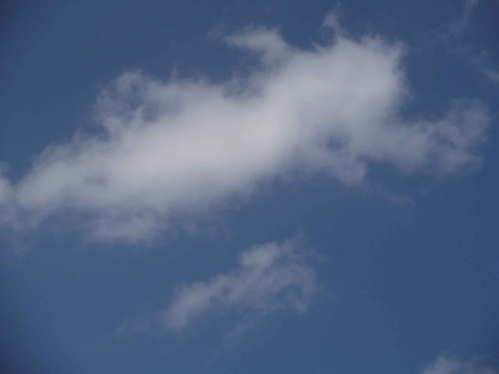 a0203003_2137515.jpg
