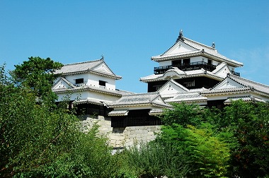 末期養子