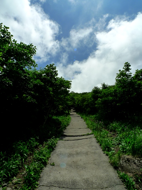 朝駆け～雲海に囲まれた九重連山。。。_a0097006_23245151.jpg