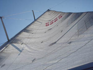d0168406_10354077.jpg