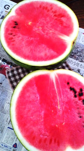 e0132609_161521.jpg