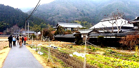 a0080610_042868.jpg