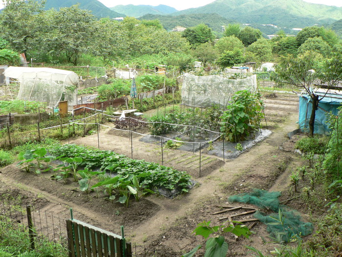 f0219710_713329.jpg