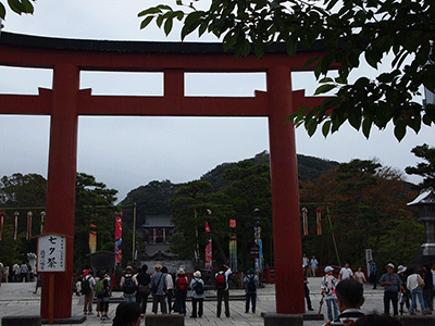 東京-鎌倉_c0103119_16324334.gif