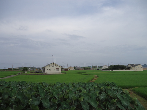 a0093423_99138.jpg