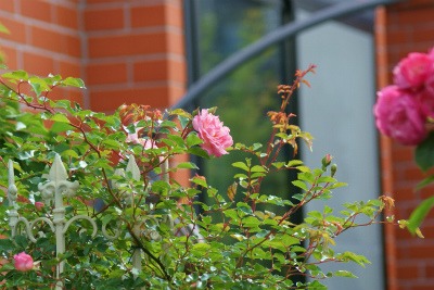 f0170524_23423274.jpg