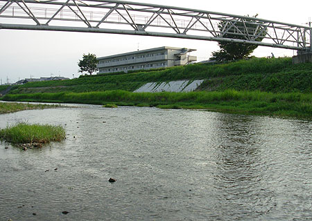 b0174137_20384373.jpg