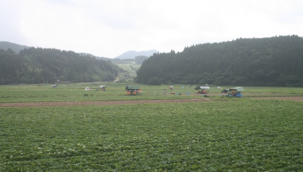 f0042737_10542639.jpg
