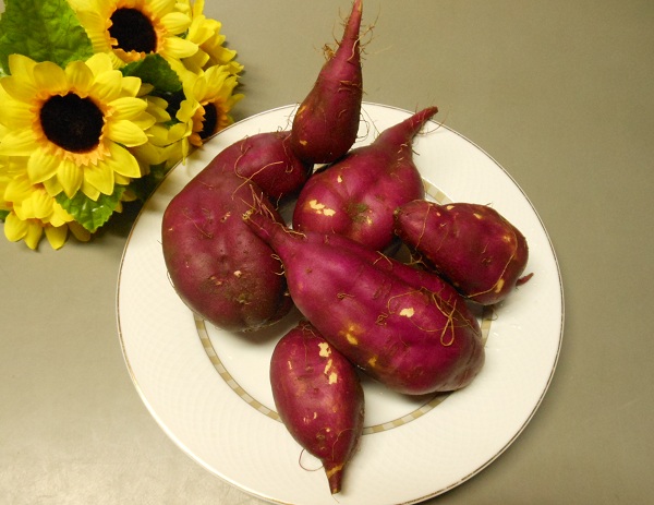 ♪　食用甘藷「超早ぼり」の出荷　始まっています！！_f0042737_11212419.jpg