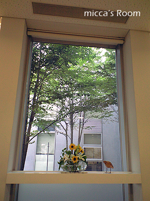 b0245038_1115379.jpg