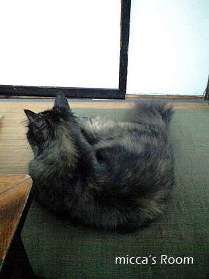 b0245038_112124.jpg