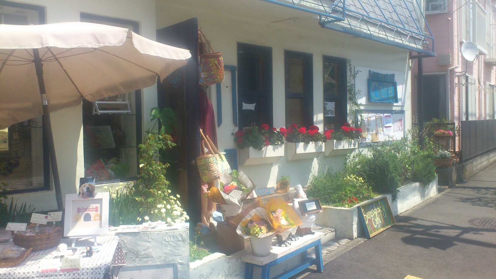e0129339_1215970.jpg