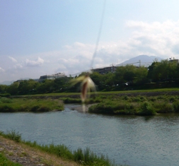 e0230141_1221345.jpg