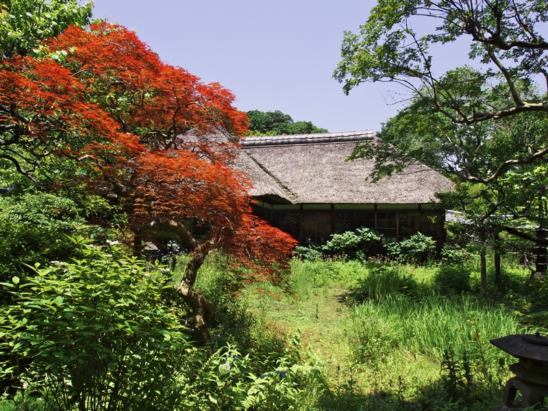 c0236843_19544898.jpg
