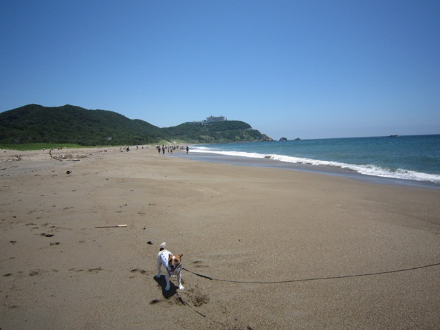 7月8日　ユウ、伊良湖へ行く　～その１_f0100871_22371584.jpg