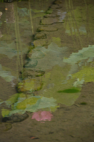 a0275782_2055564.gif