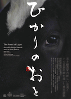 ひかりのおと神戸上映詳細!_d0237485_1133851.jpg