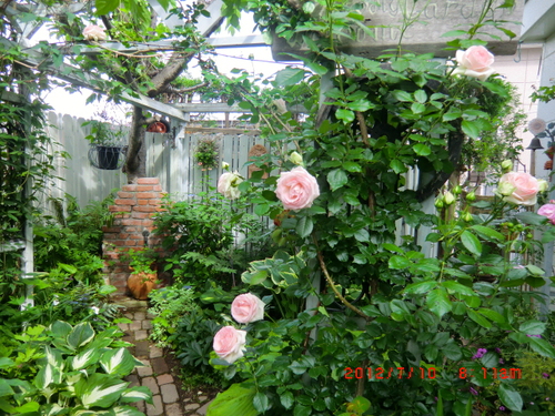 c0078586_21115959.jpg