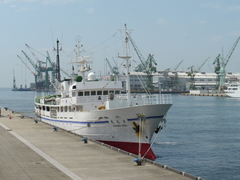 7月10日(日)､客船\"VOYAGER\"は今日18時神戸港出港の予定です_b0192588_11225892.jpg