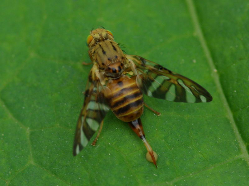 f0204094_6333263.jpg
