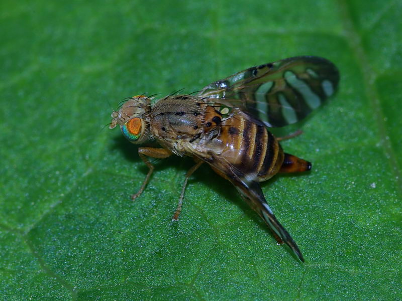 f0204094_633826.jpg
