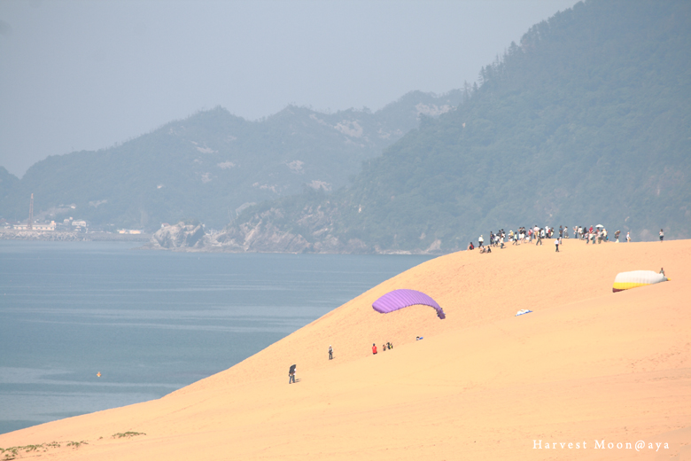 夏の始まり~海岸_b0208495_23472712.jpg