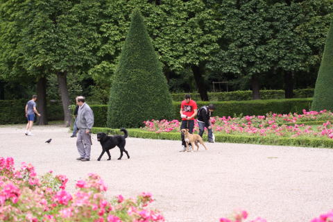 久しぶりにソー公園へ_c0090198_021676.jpg